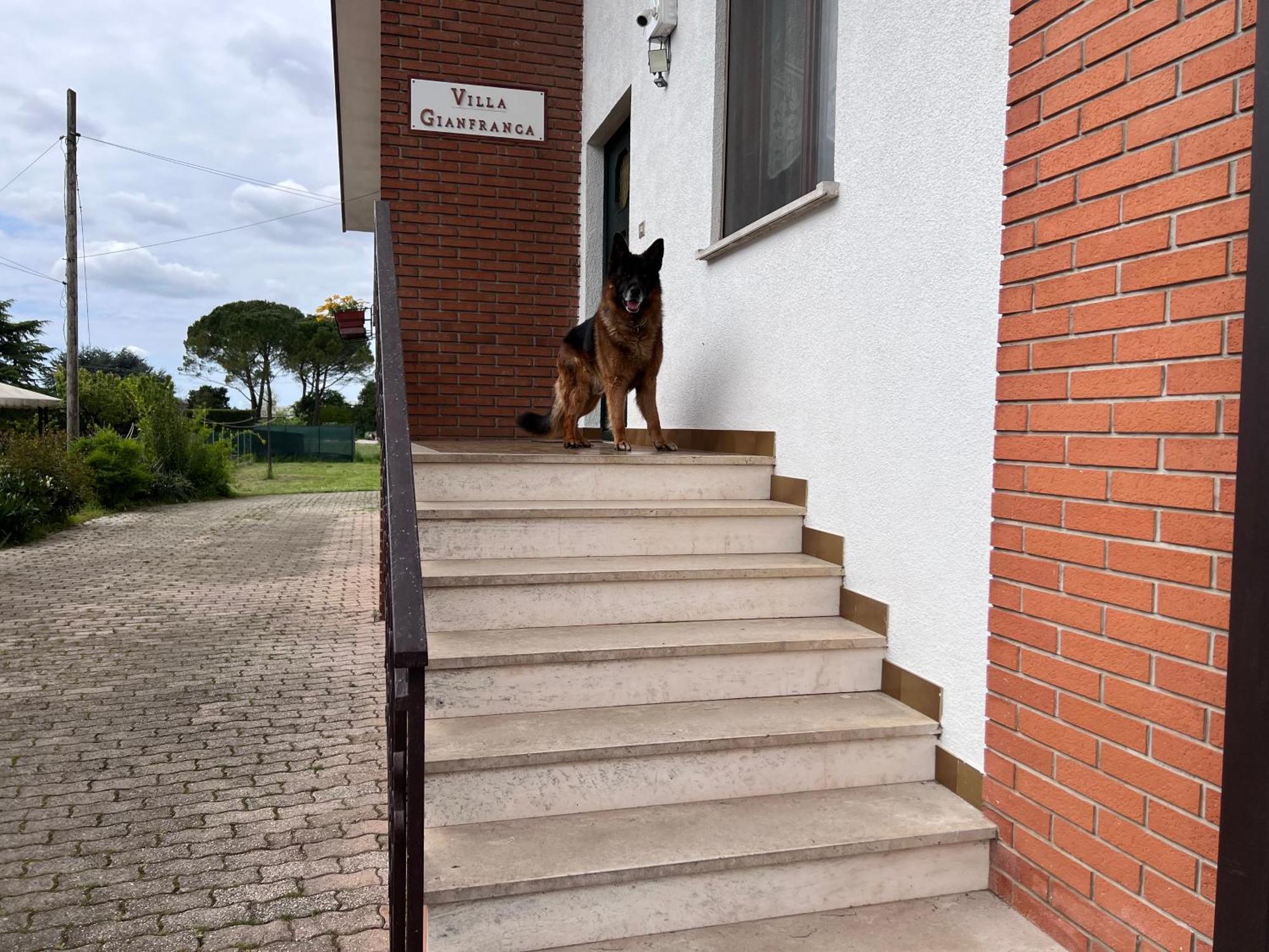 Villa Gianfranca - Sentiti Come A Casa Corno di Rosazzo Екстер'єр фото